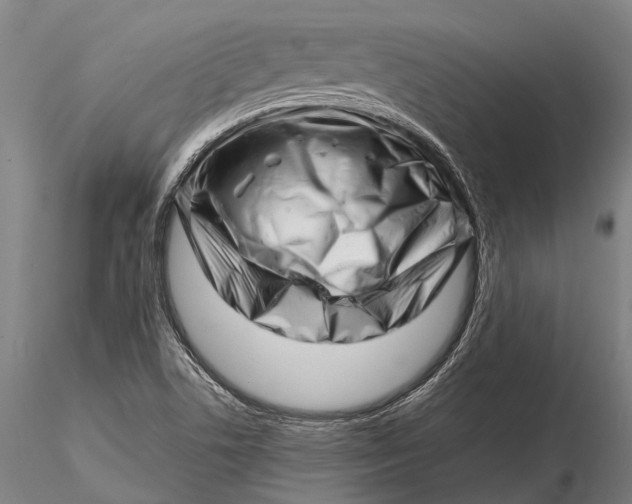 X0000116141506200912141120