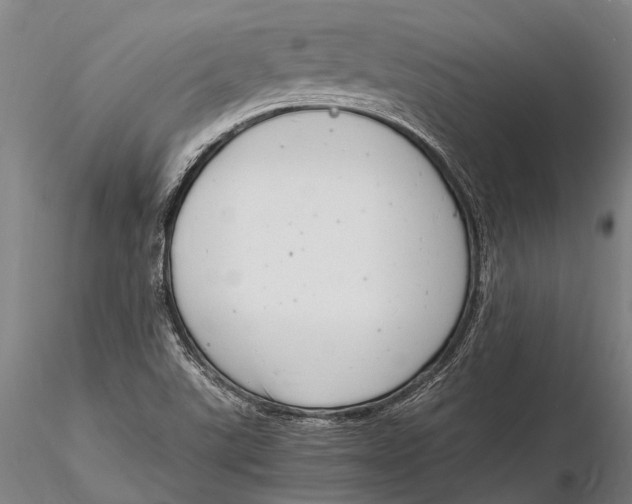 X0000116141507200912141120