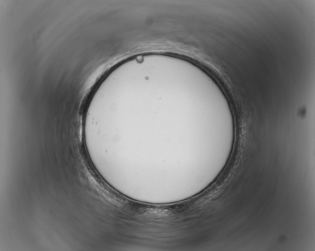 X0000116141509200912141120