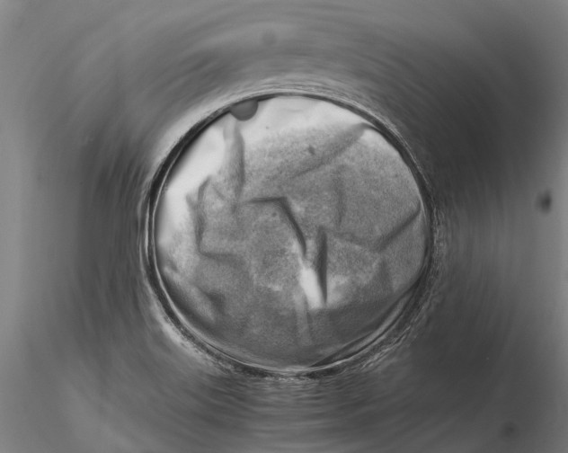 X0000116141515200912141120