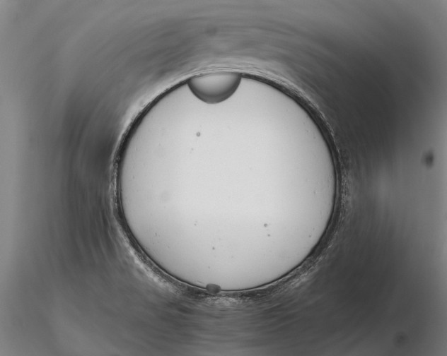 X0000116141517200912141120