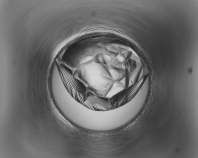 X0000116141518200912141120