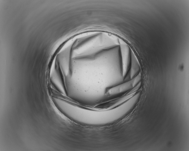 X0000116141519200912141120