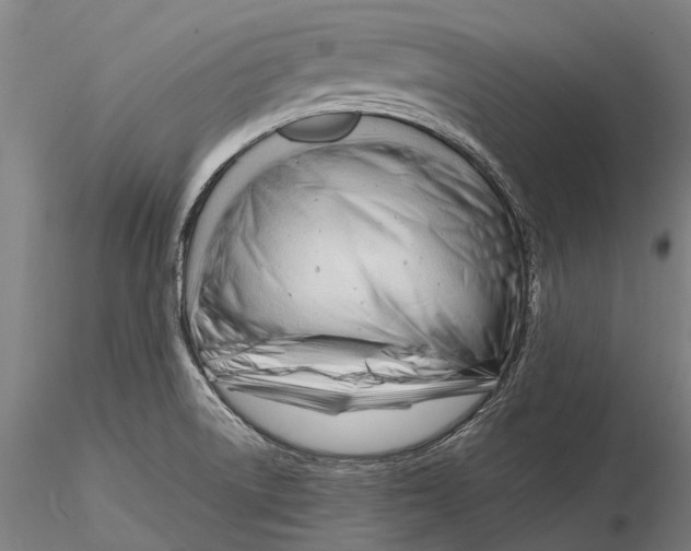 X0000116141522200912141121