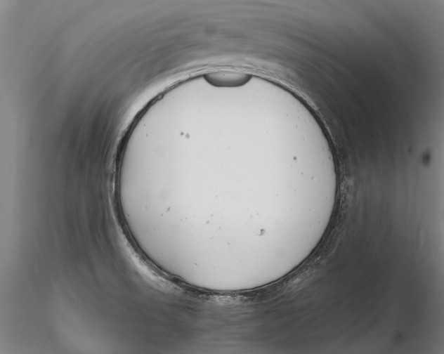 X0000116141523200912141121