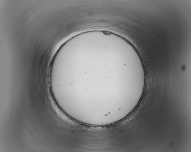 X0000116141526200912141121