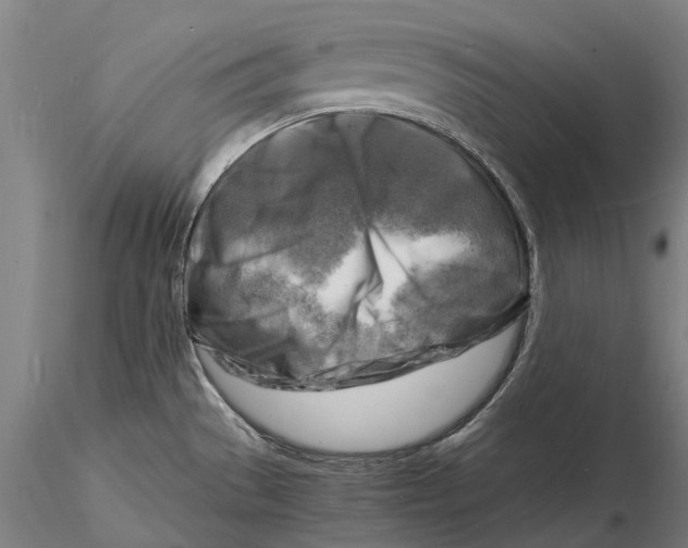 X0000116141529200912141121