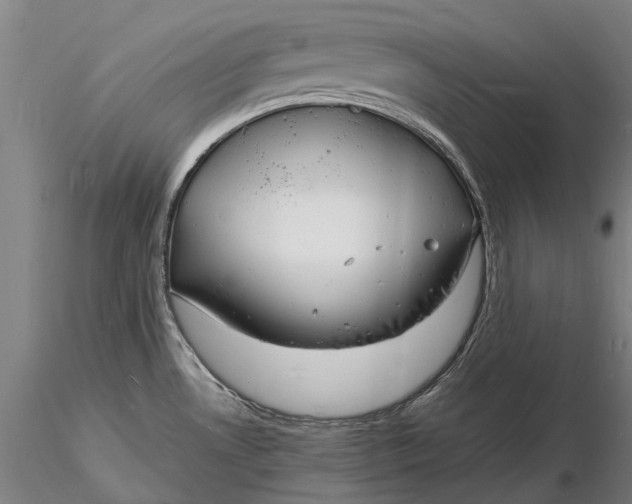 X0000116141530200912141121