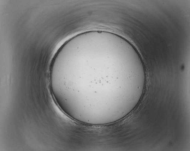 X0000116141531200912141121