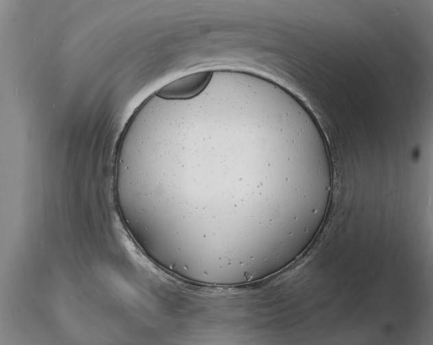 X0000116141534200912141121