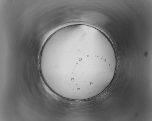 X0000116141535200912141121