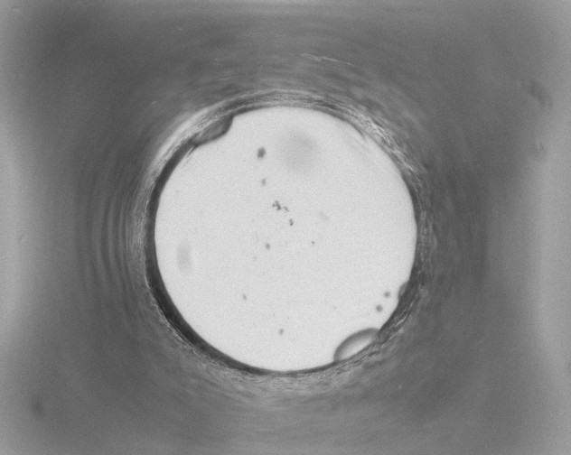 X0000116140007200912211458