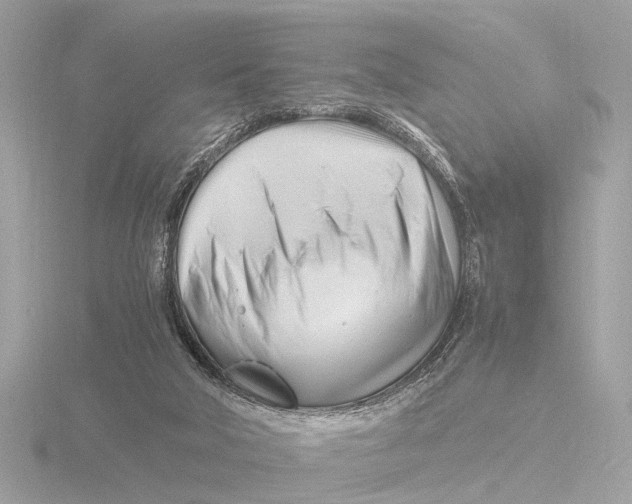 X0000116140018200912211458