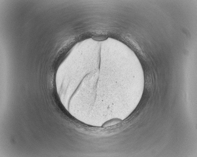 X0000116140023200912211458