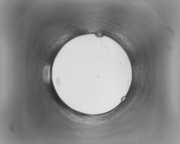 X0000116140028200912211457