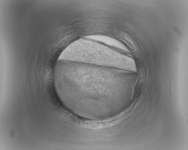 X0000116140029200912211457