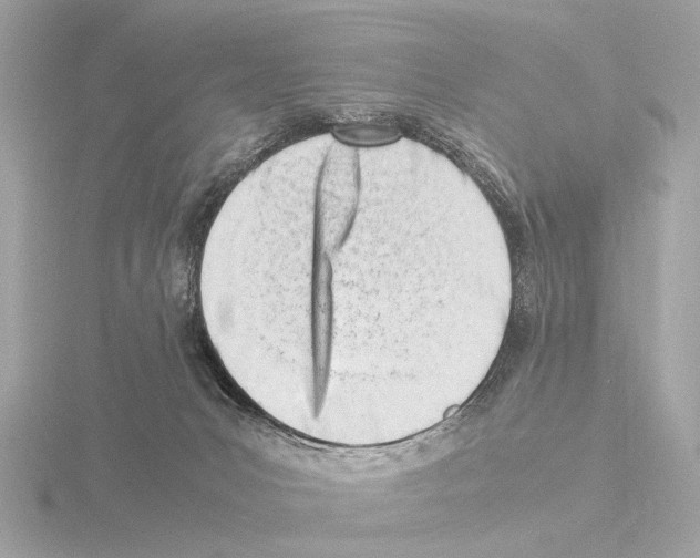 X0000116140031200912211457