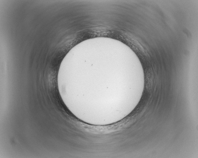 X0000116140034200912211457