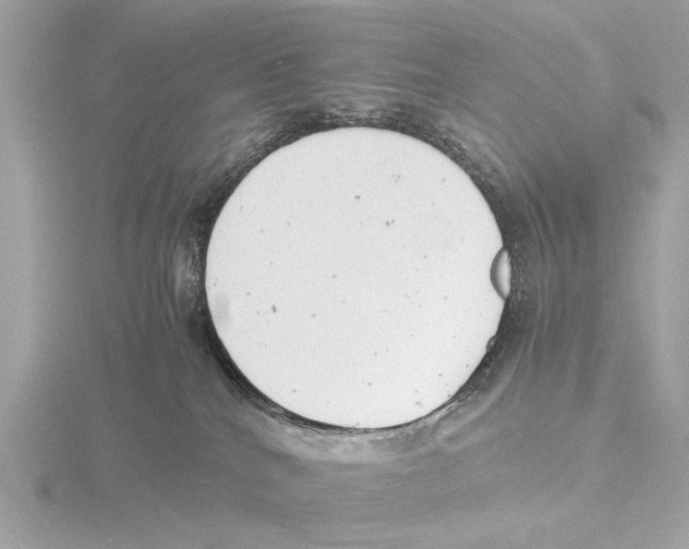 X0000116140040200912211457