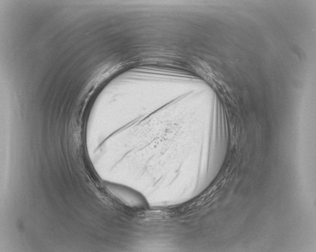 X0000116140050200912211457