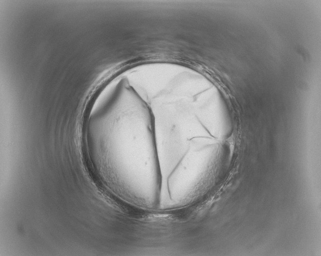 X0000116140055200912211457