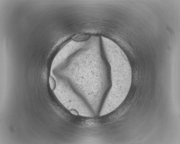 X0000116140064200912211457