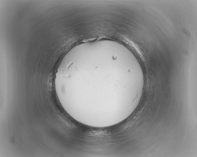 X0000116140065200912211457