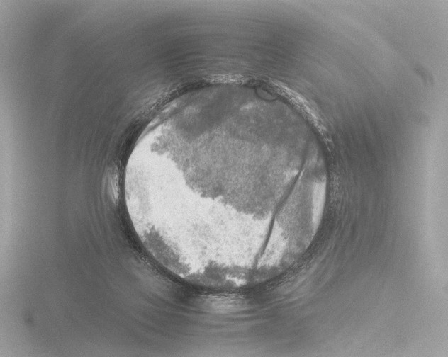 X0000116140069200912211457