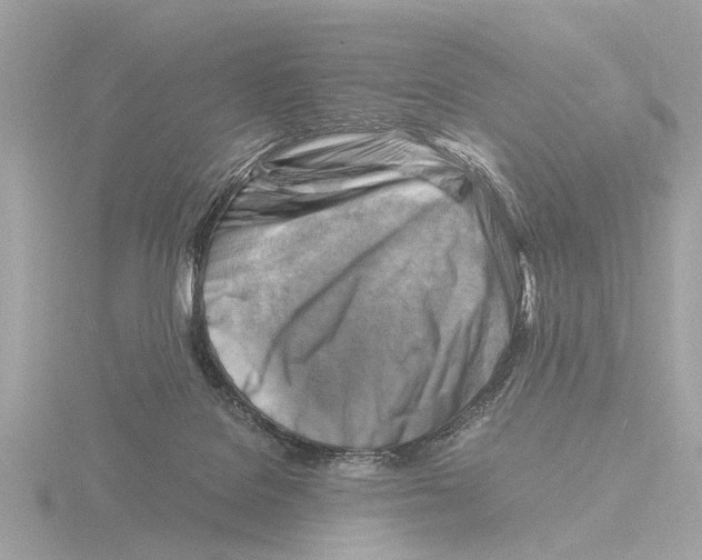 X0000116140076200912211457