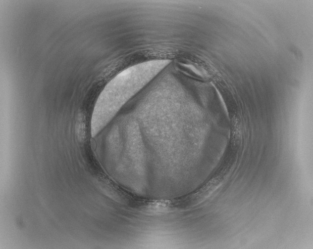 X0000116140080200912211457