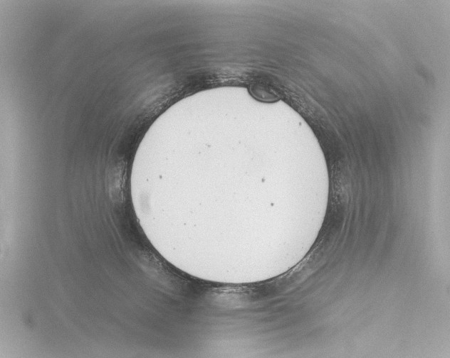 X0000116140082200912211457