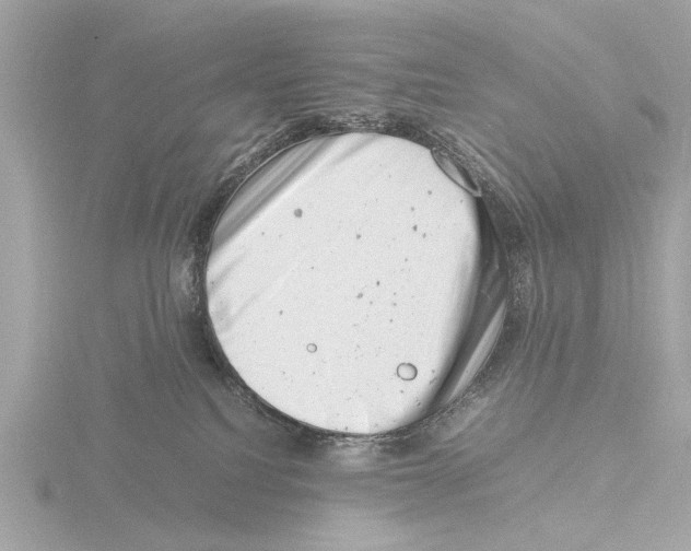 X0000116140088200912211457