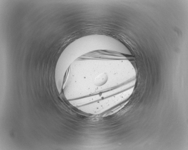 X0000116140096200912211457