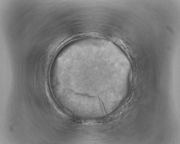 X0000116140097200912211457