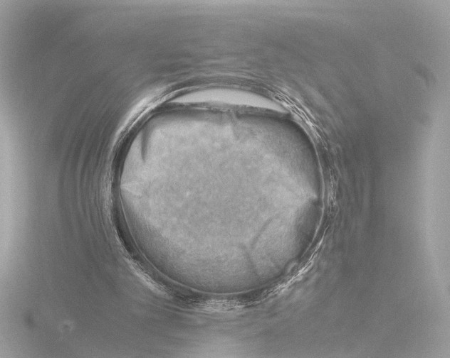 X0000116140101200912211457