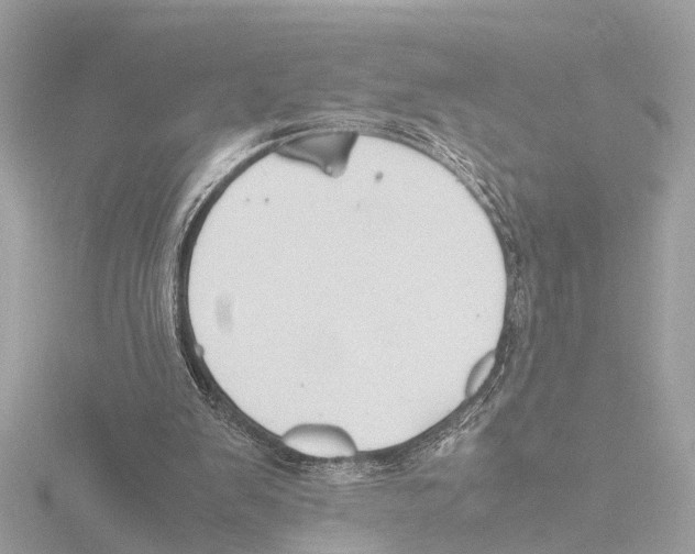 X0000116140103200912211457