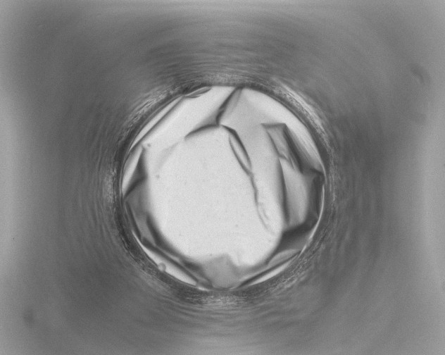 X0000116140105200912211457