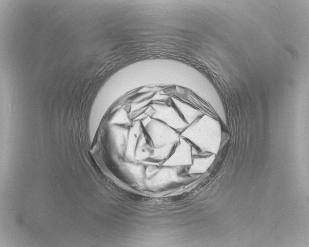 X0000116140129200912211456