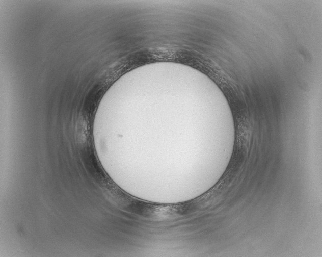 X0000116140130200912211456