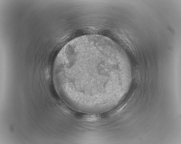 X0000116140131200912211456