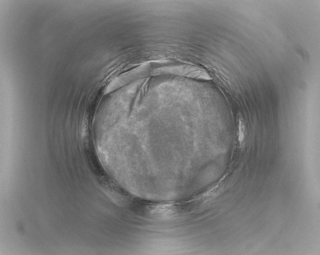 X0000116140132200912211456