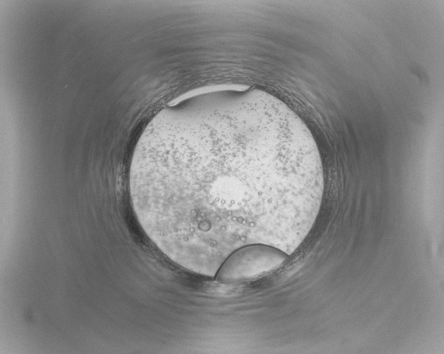 X0000116140135200912211456