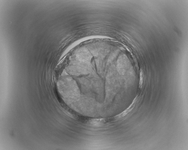 X0000116140136200912211456