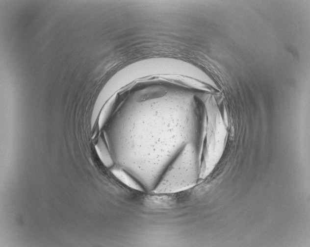 X0000116140137200912211456