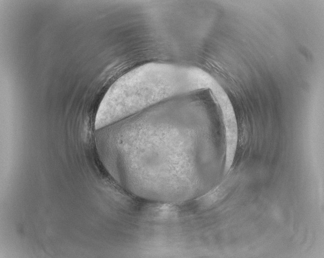 X0000116140140200912211456