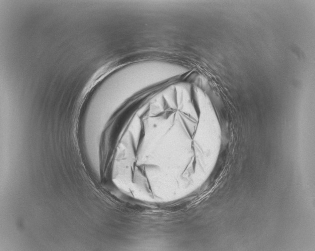 X0000116140150200912211455