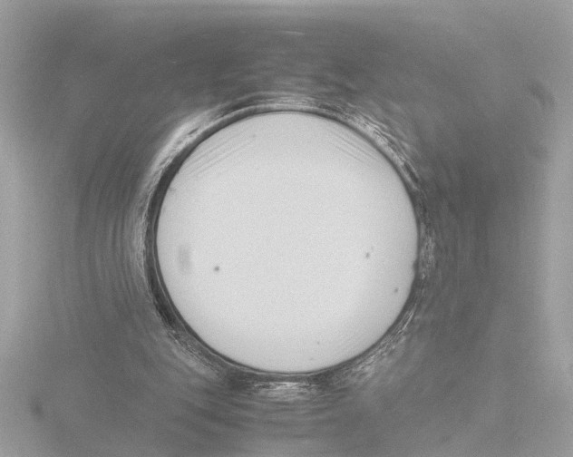 X0000116140151200912211455