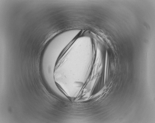 X0000116140154200912211456