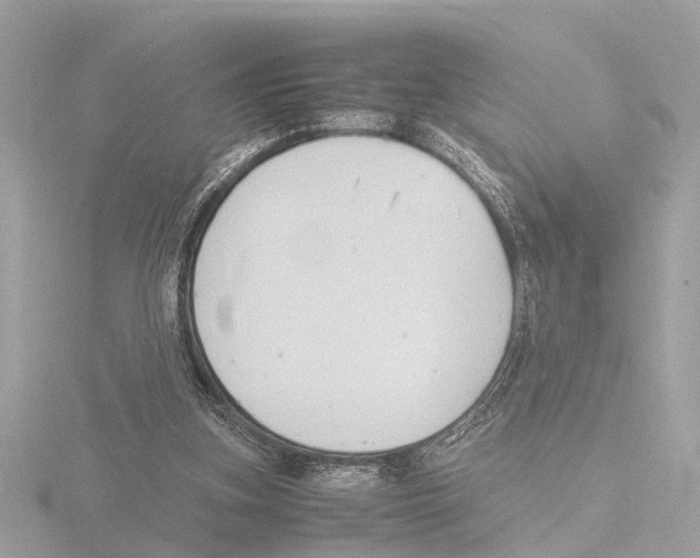 X0000116140155200912211456