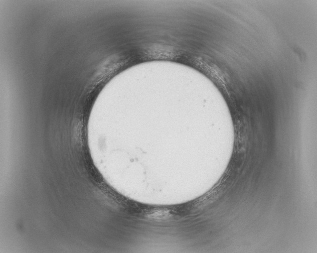 X0000116140162200912211456